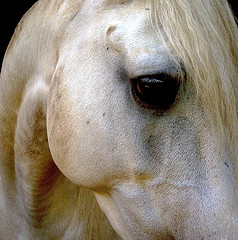 il ne suffit que d'un regard ...